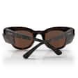 Harps-R-MatteTort_BrownUV400Lens_04Back_9b7992c6-e6dd-49ed-b46d-476c758843c6