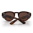 Cruisers-R-BrownTort_BrownPolarisedUV400Lens_04Back