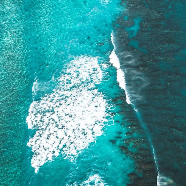 Normal Vision